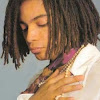 Sananda Maitreya's Apparition