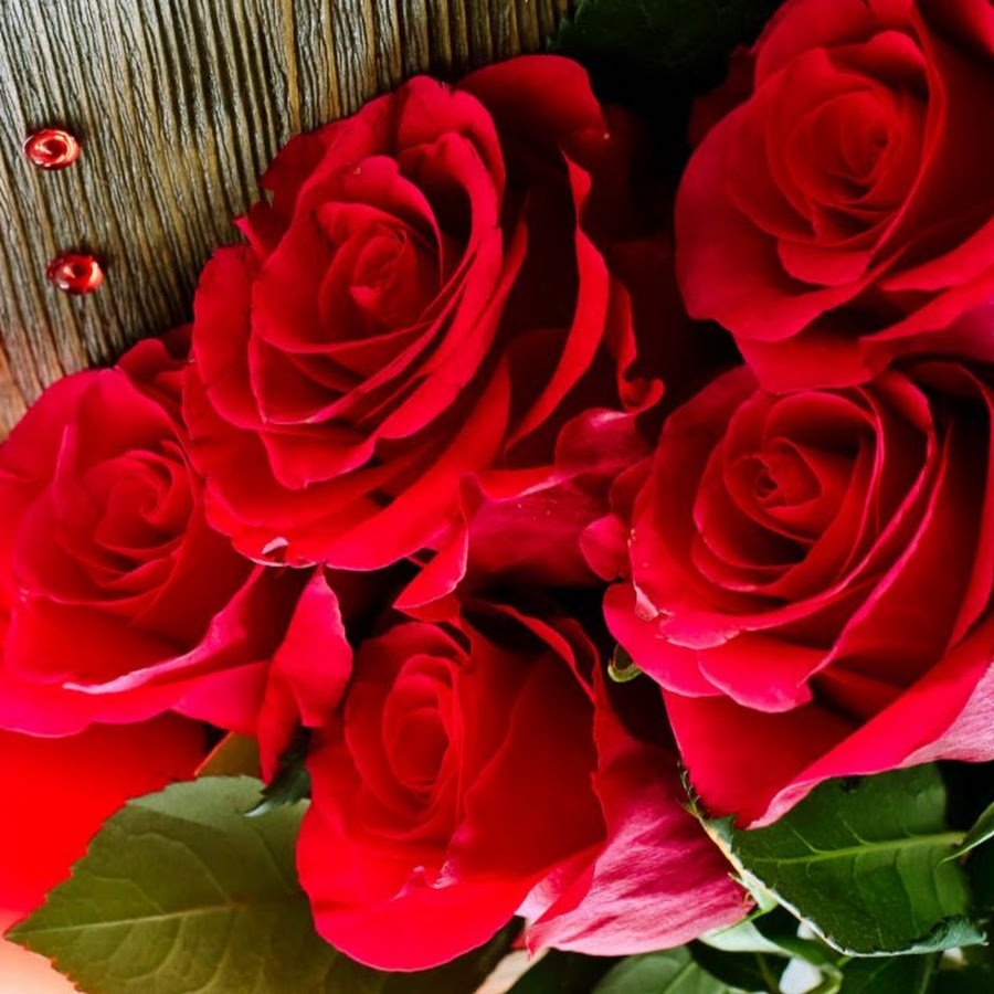 Food Temptation By Sana - YouTube