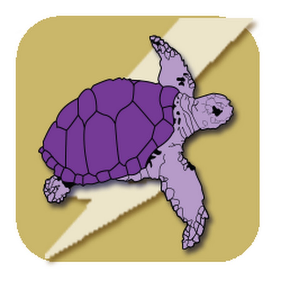 PTP Flash Deals - YouTube