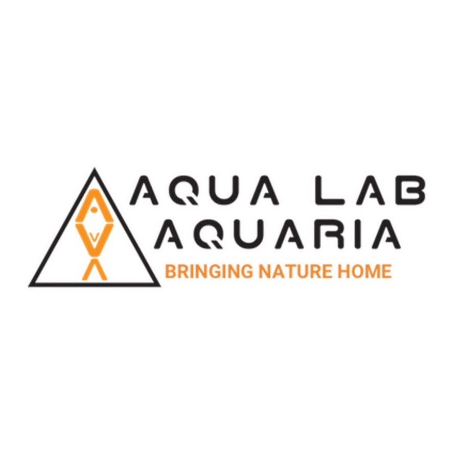 Aqua Lab Uncensored YouTube