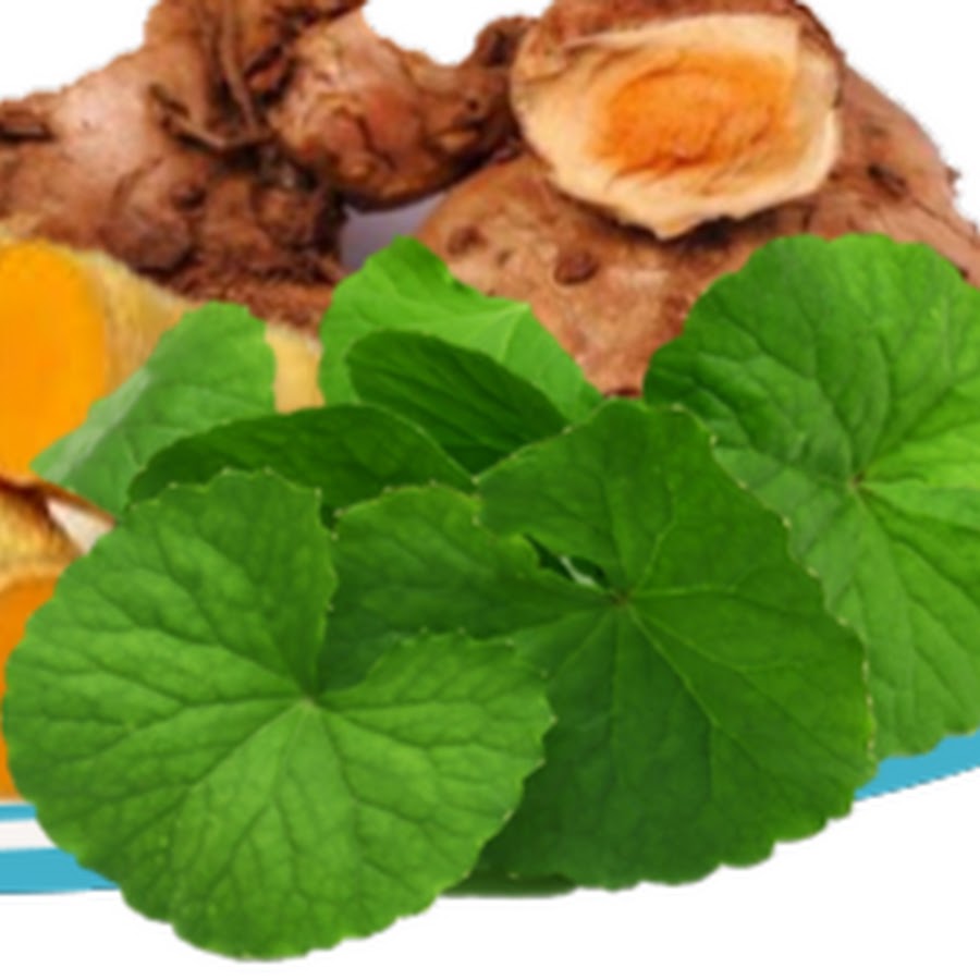 Obat Herbal Tradisional 