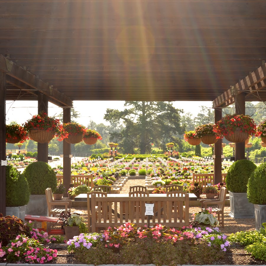 Young�s Plant Farm YouTube