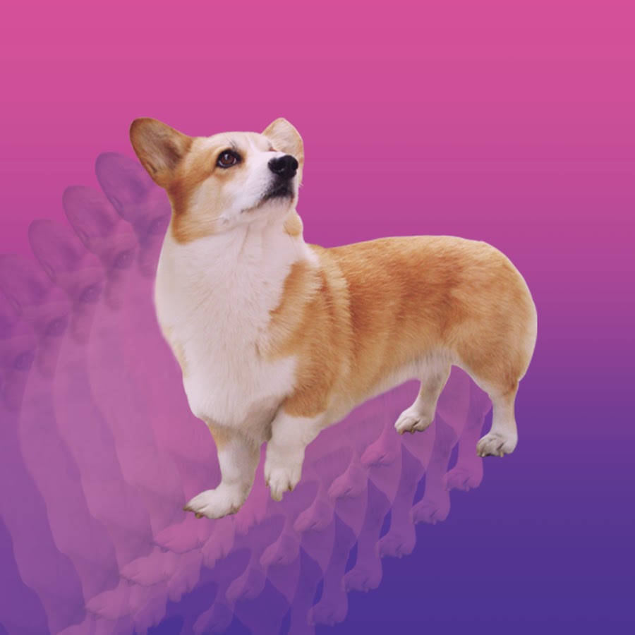 Future DOGE FM YouTube