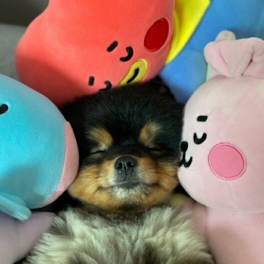 Kim YeonTan - YouTube