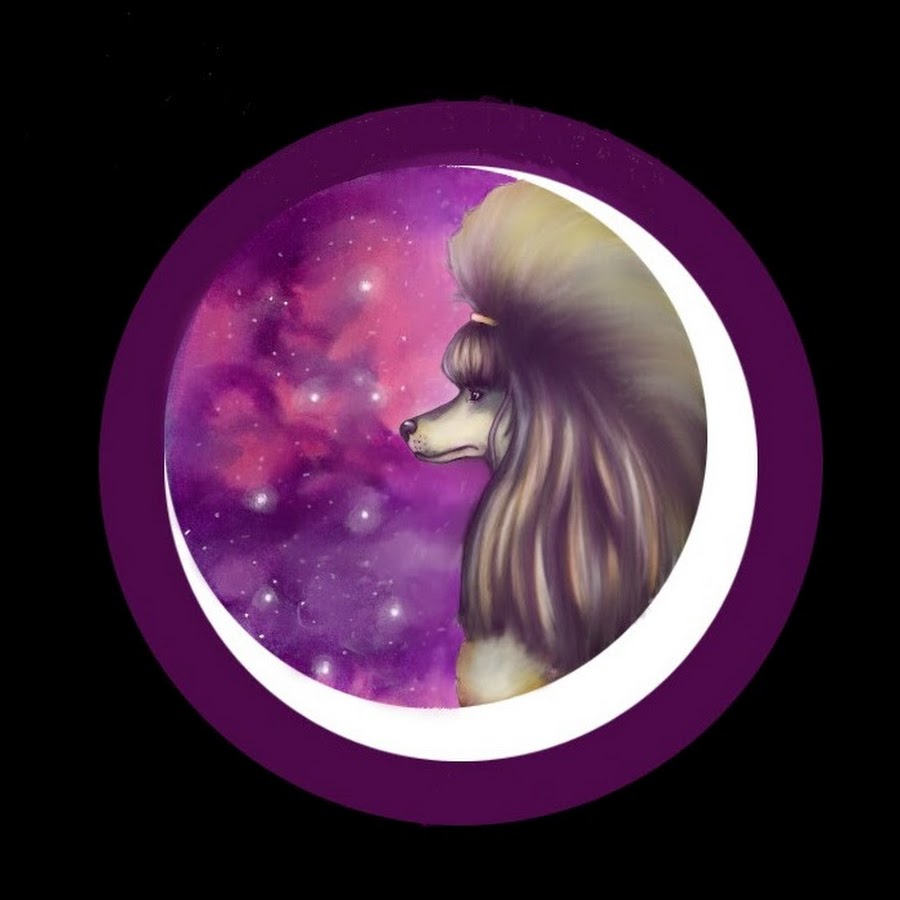 Starr Grooming TV - YouTube