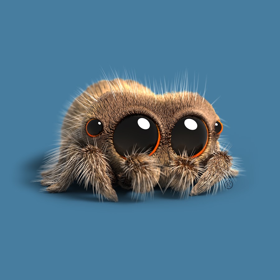 lucas stuffed spider