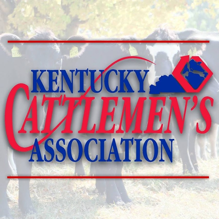 The Kentucky Cattlemen's Association YouTube