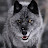 Lone Wolf avatar