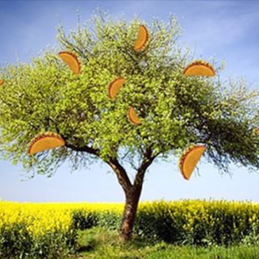 Blue Taco Tree YouTube