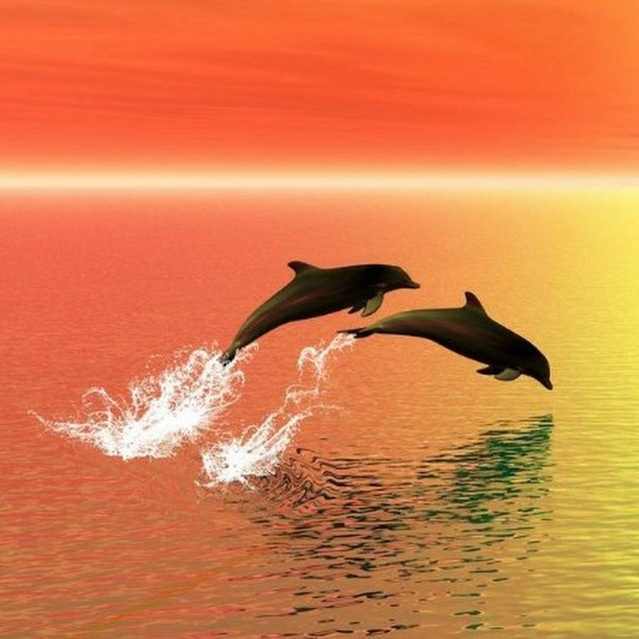 Bailey Lopp - YouTube