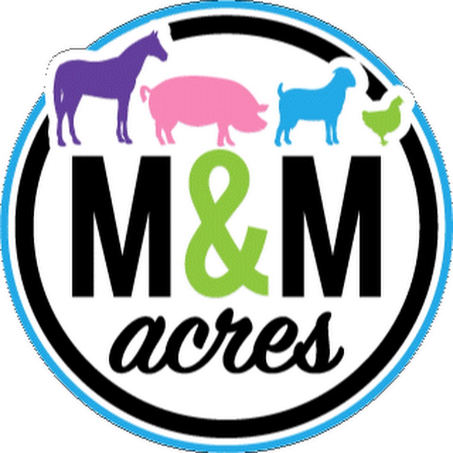 M & M Acres Farm Animal Rescue YouTube