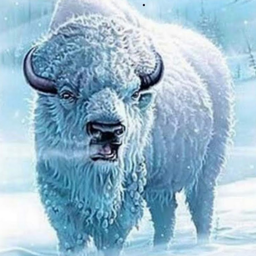 The White Buffalo YouTube