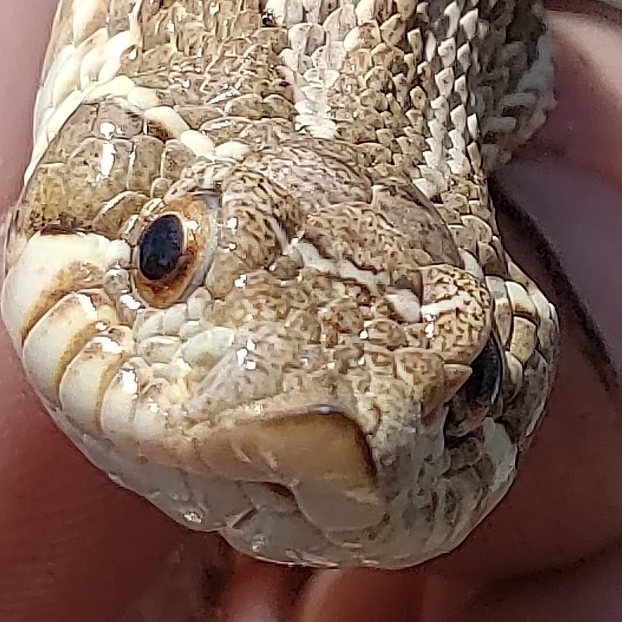 outdoor Boys - YouTube