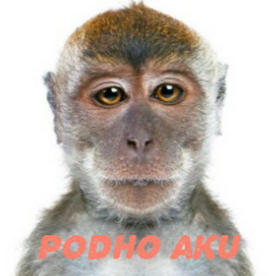 Animasi Kartun YouTube Animasi Kartun YouTube