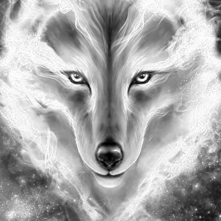 Serien Stream Spotlight