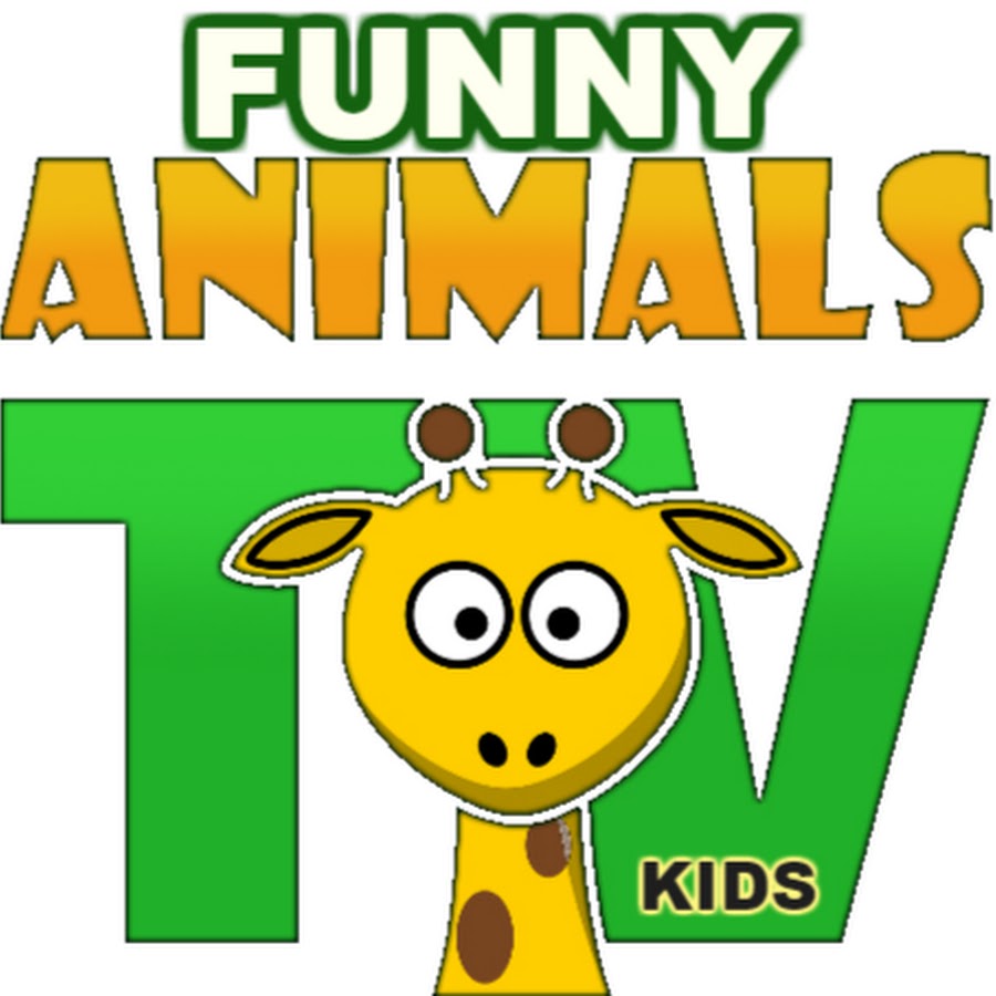 FUN Animal TV Kids 