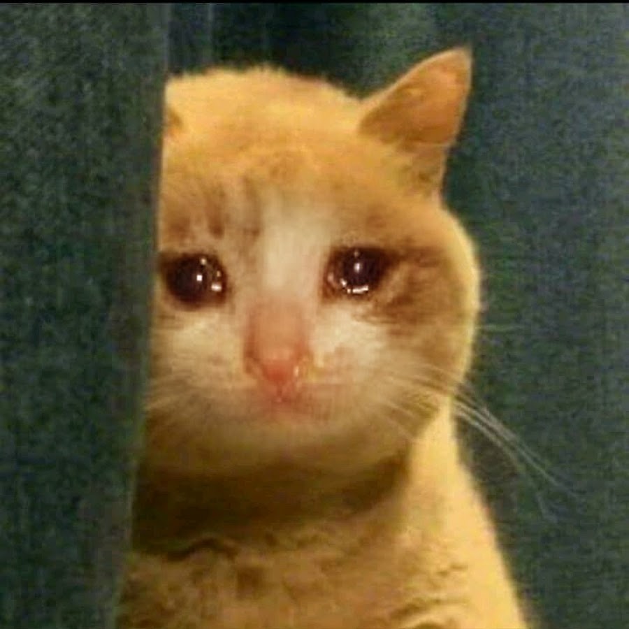 Kucing Menangis - YouTube