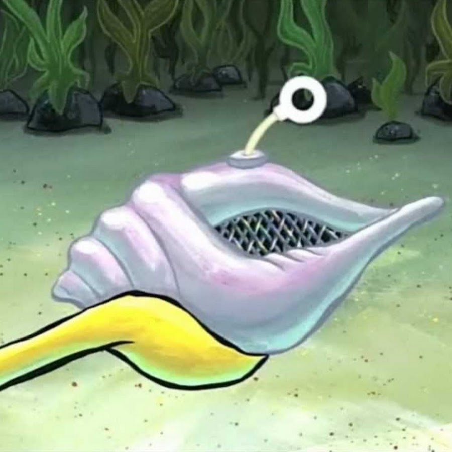 Magic Conch Shell YouTube