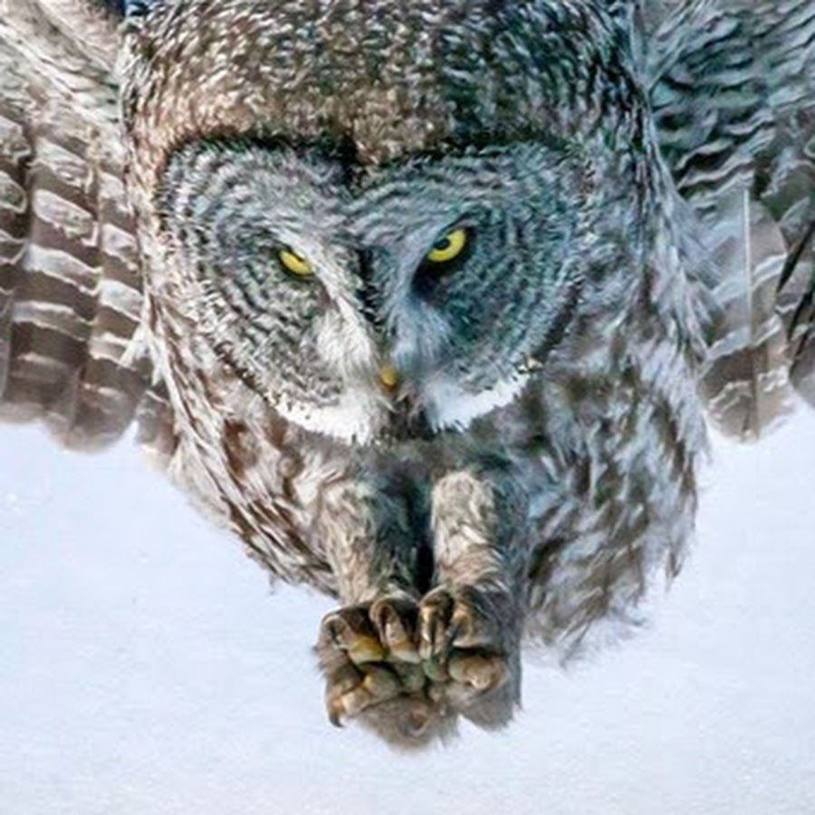 DarkeyeSpots - YouTube