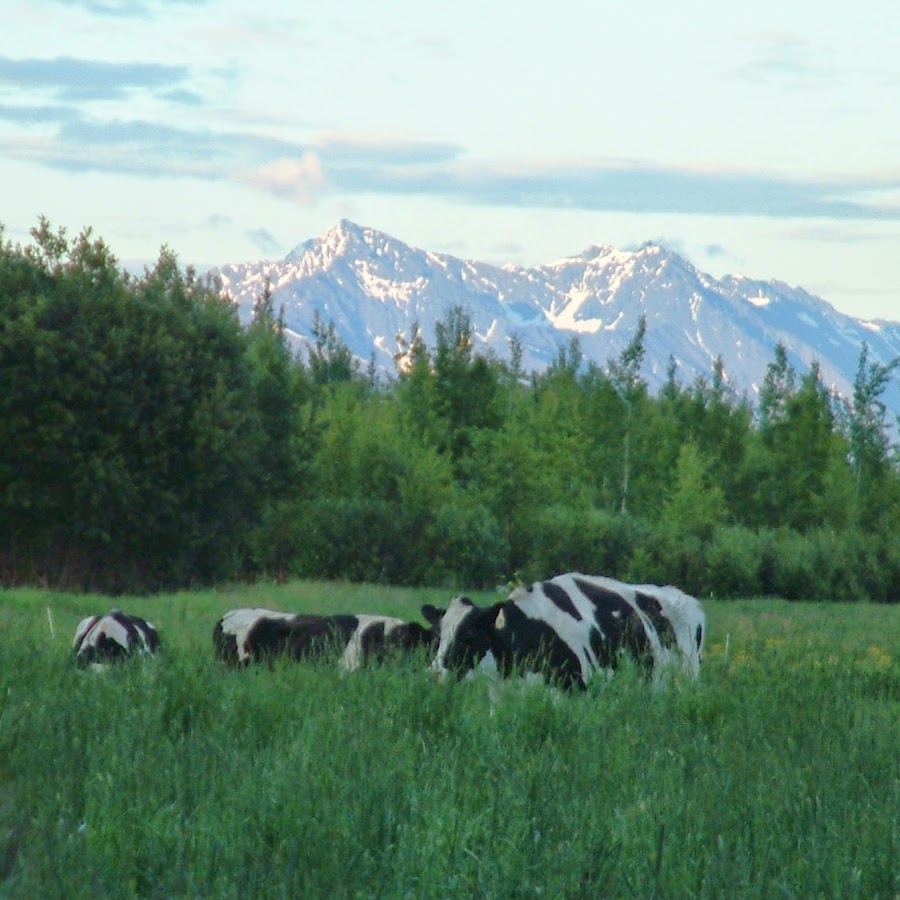 Alaska Agriculture YouTube