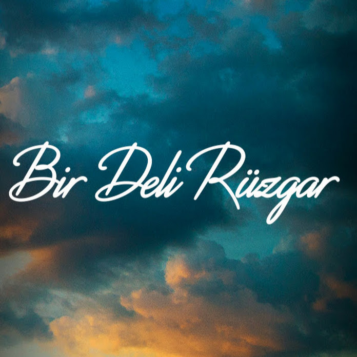 Bir Deli Rüzgar Net Worth & Earnings (2026)
