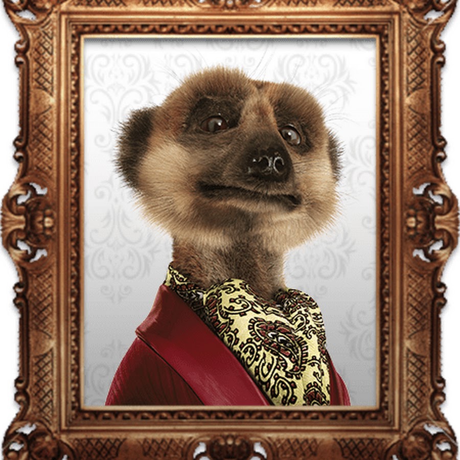 Meerkat Compare The Market Advert