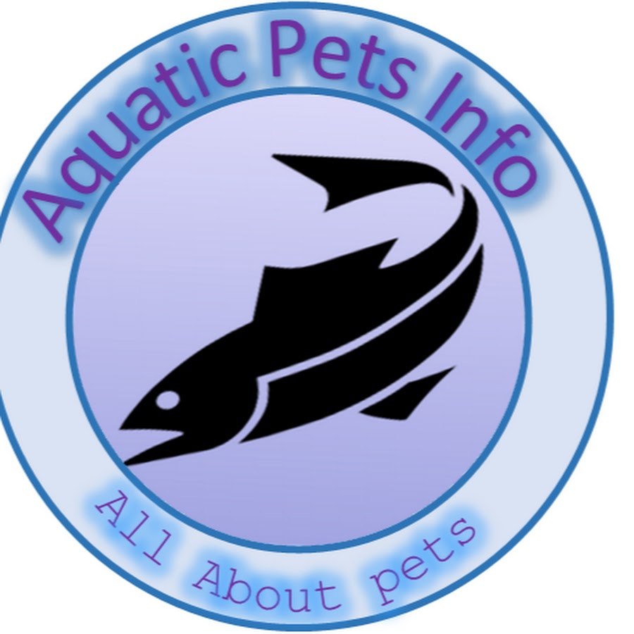 Aquatic Pets Info YouTube