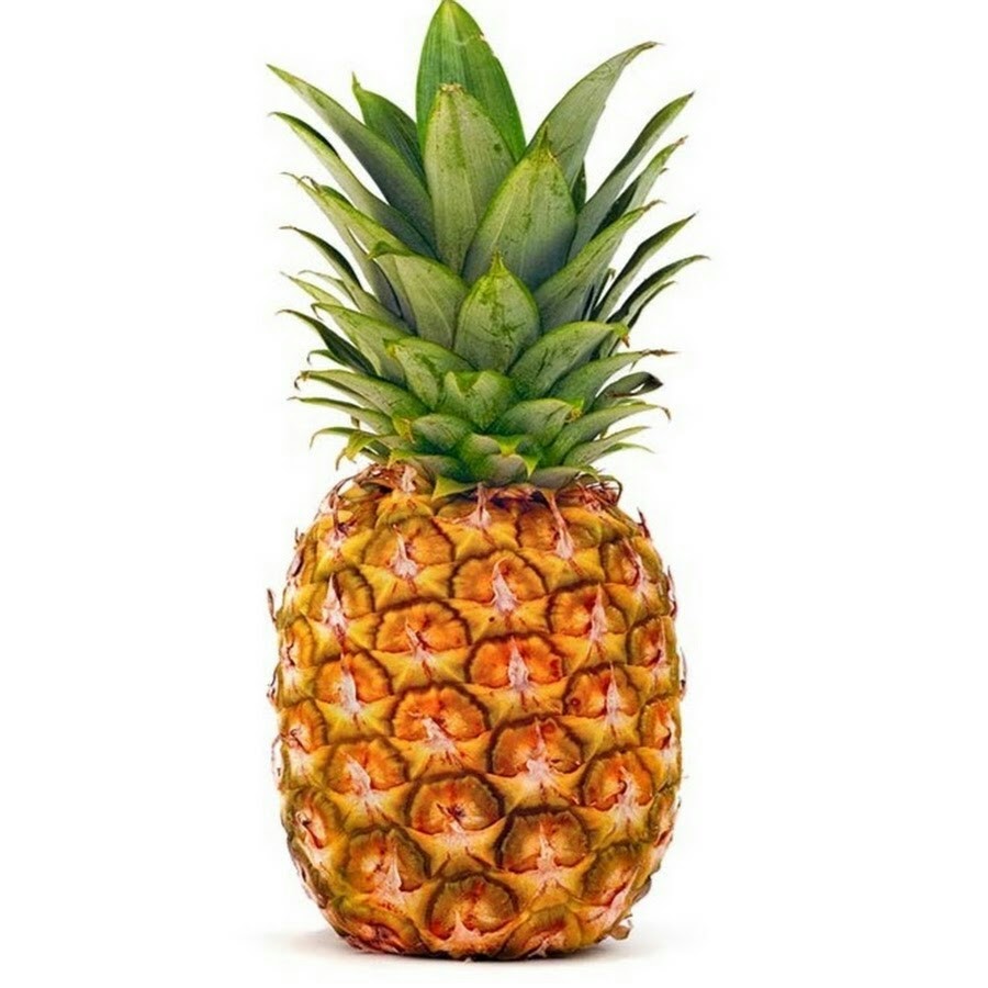 Pineapple Head YouTube
