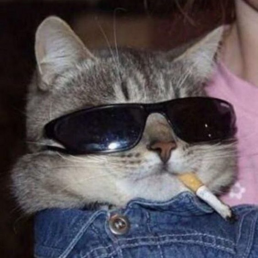Ви из БТС милашка