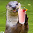 SmoothieOtter avatar