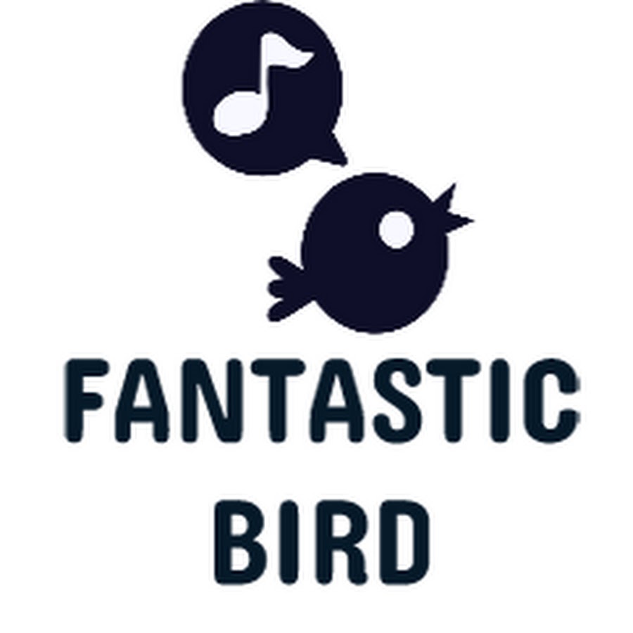 Fantastic Bird 