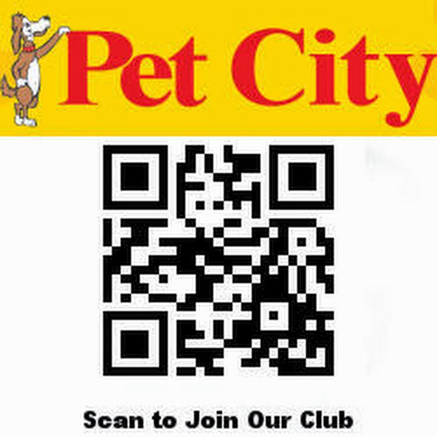 Petcity WA YouTube