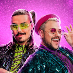 Diva Depressão Net Worth