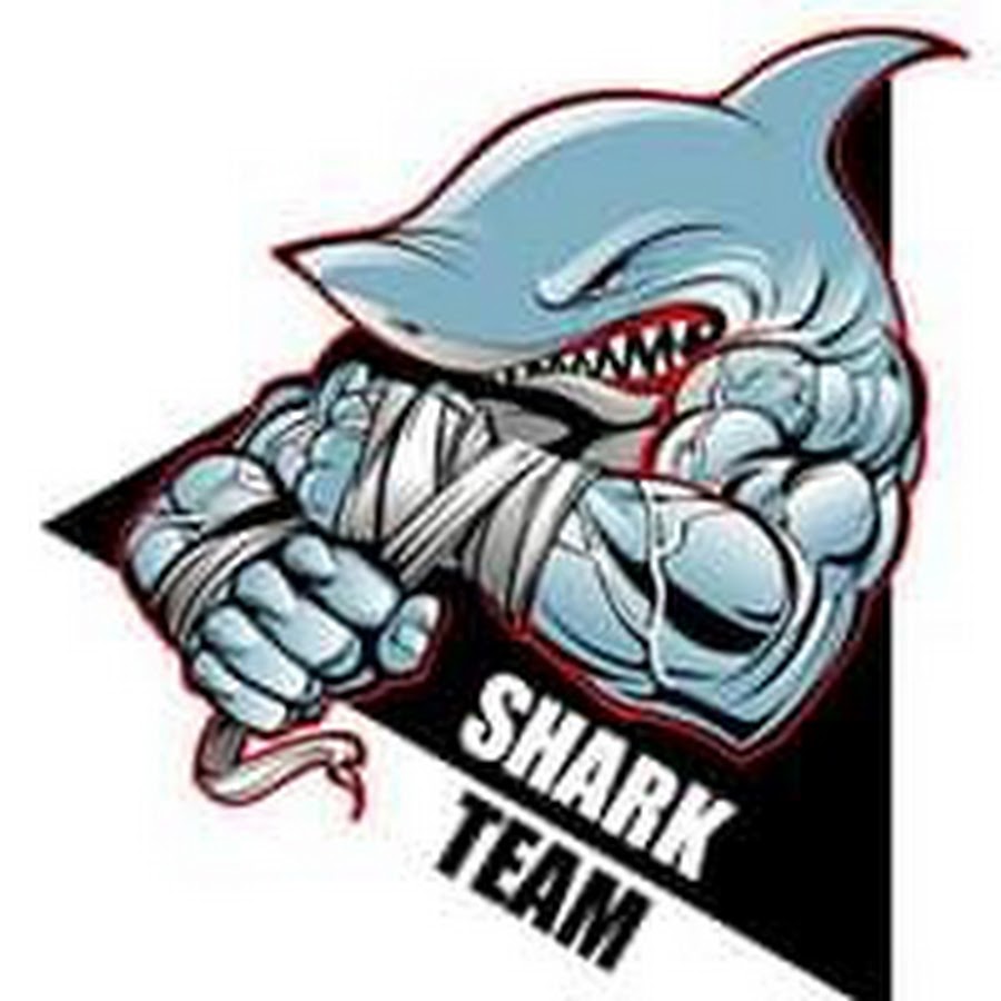 Раскрутка сайта team shark. Shark Team. Шарк тим картинка. Shark Team DM. Shark Team рр4.