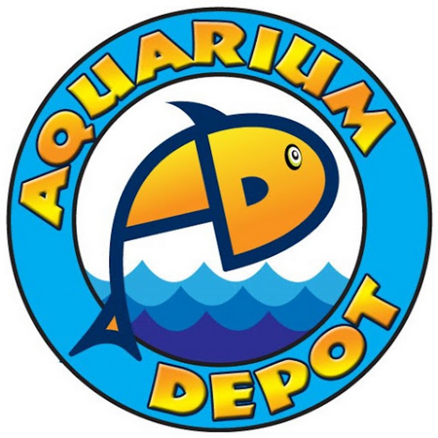 Aquarium & Reptile Depot YouTube