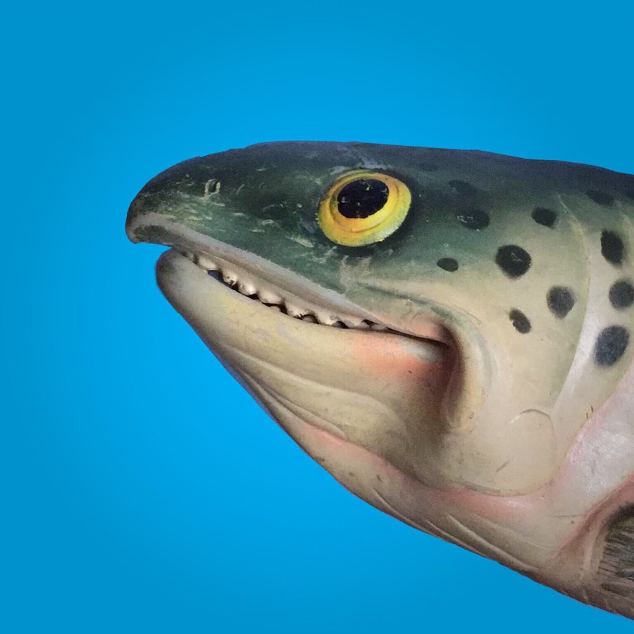 fishpuppet - YouTube