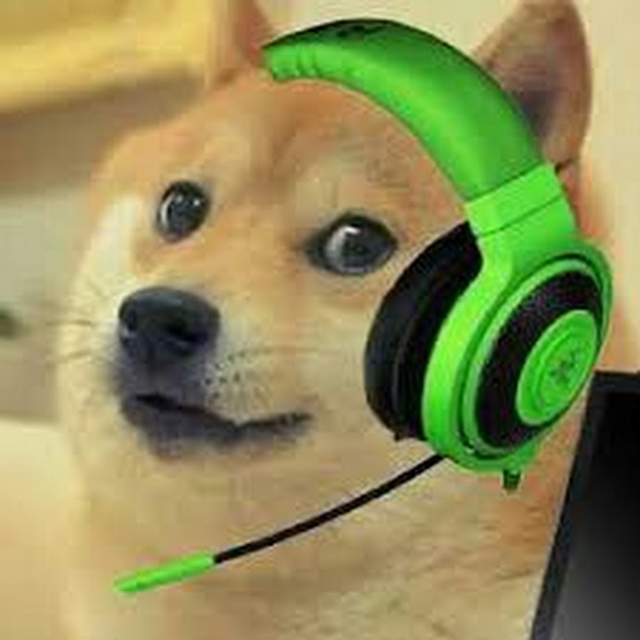 Doge Playz YT - YouTube