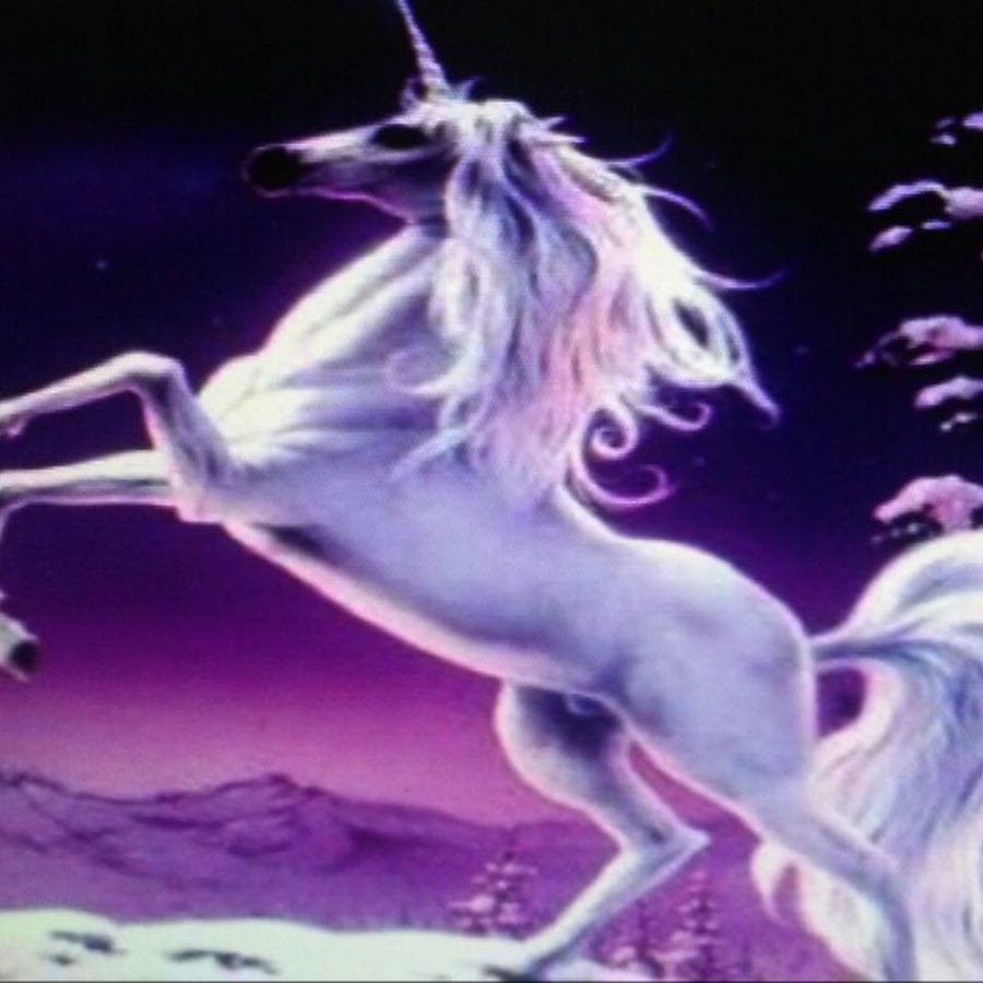 La Licorne Du Web YouTube La Licorne Du Web YouTube