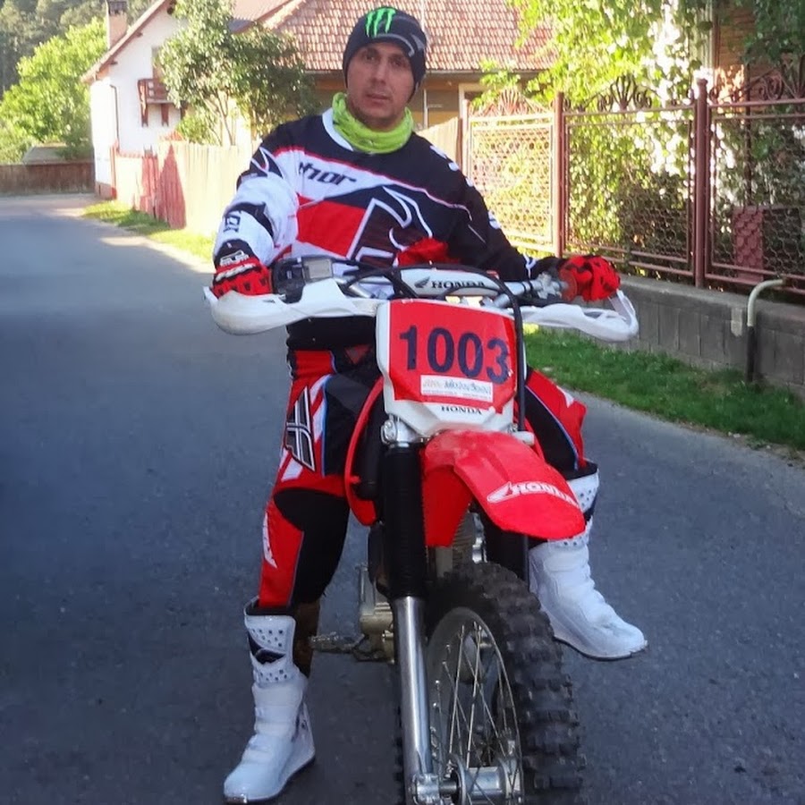 gheorghe maluselu 