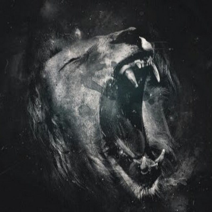 Leo.Rap. Tv - YouTube