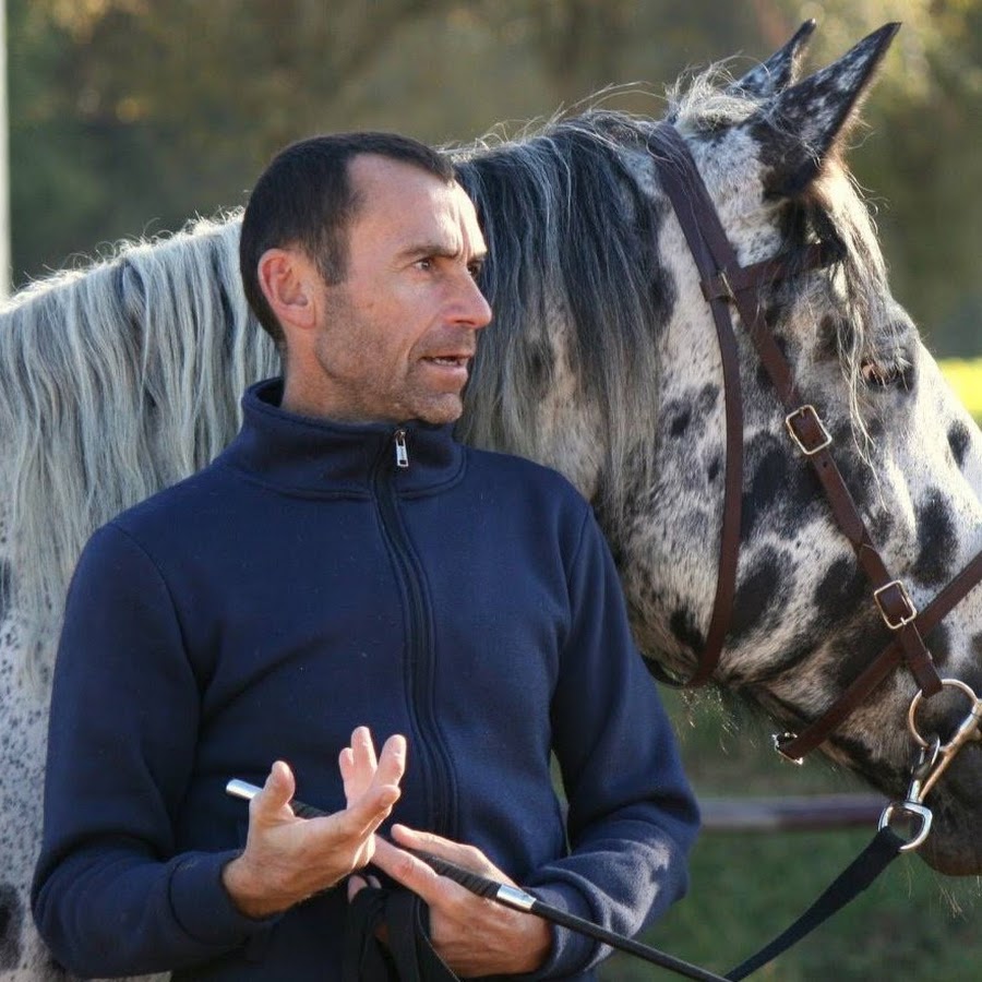 Markus Scheibenpflug - YouTube