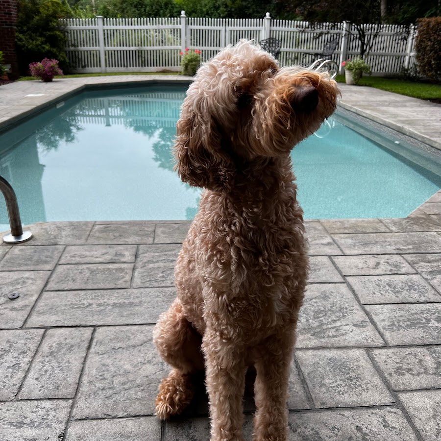 Prime Time Reviews - YouTube