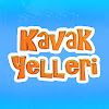 What could Kavak Yelleri buy with $166.9 thousand?
