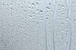 Crypto Com Web Version