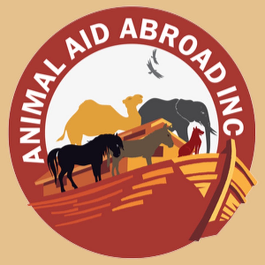 Animal Aid Abroad YouTube