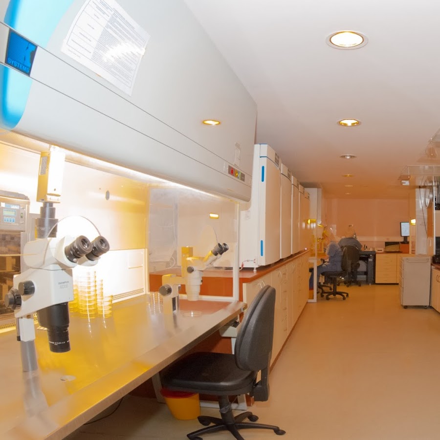 Memorial Şişli Hastanesi Tüp Bebek Merkezi YouTube