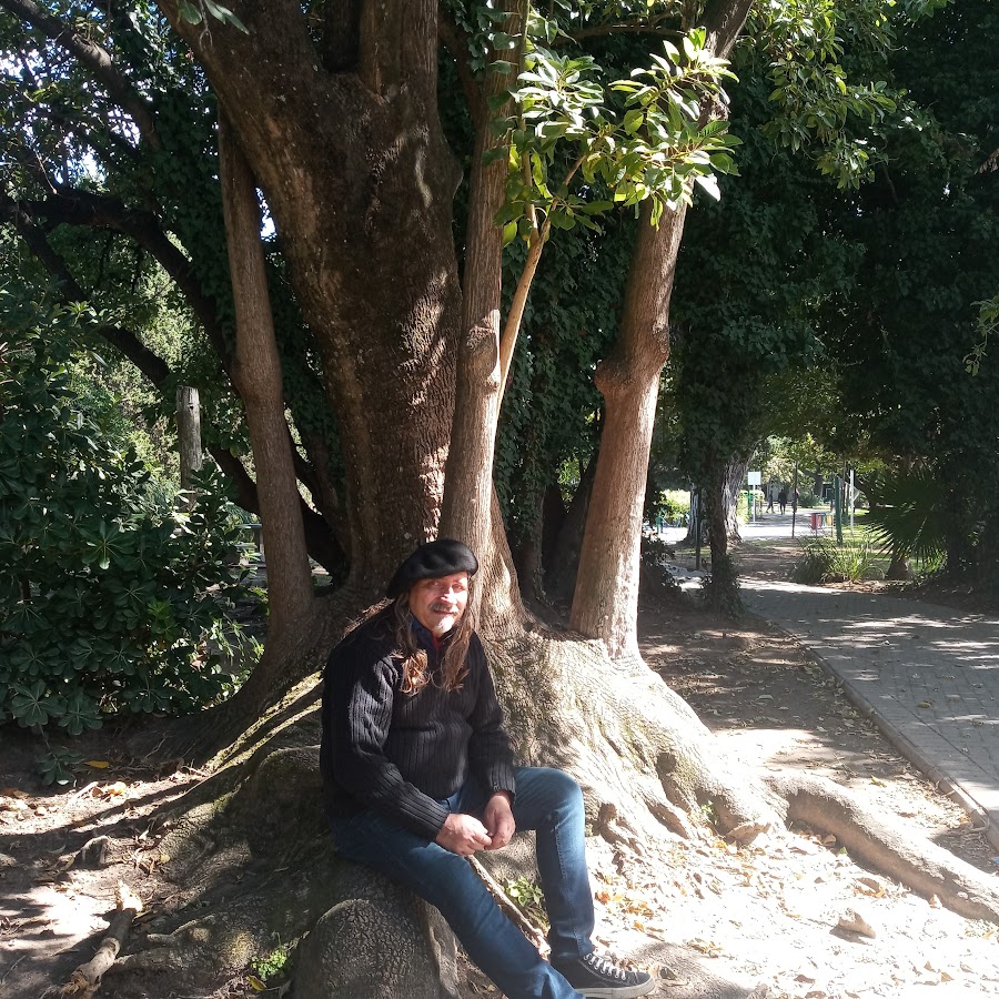 carlos car - YouTube