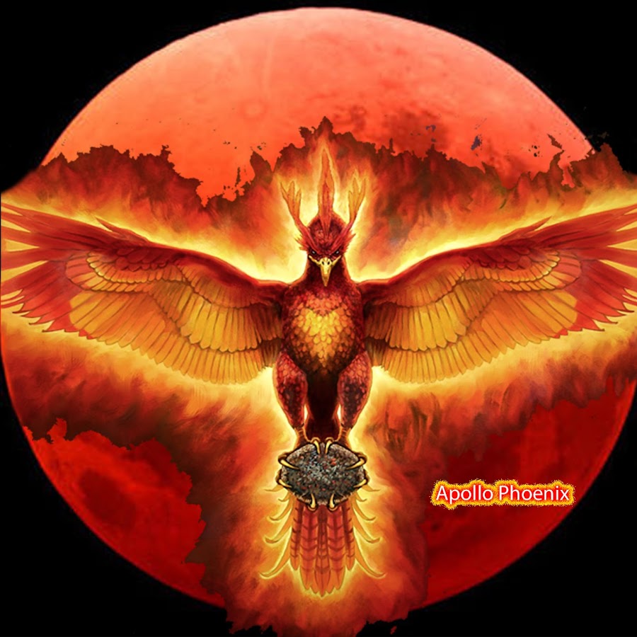 Apollo Phoenix YouTube