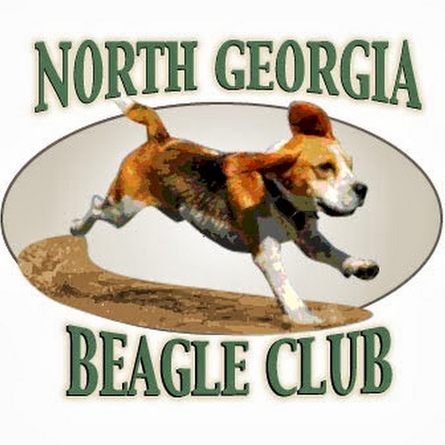 North Beagle Club YouTube