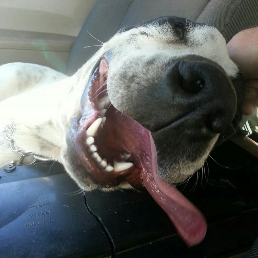 Ghosts Appear & Fade Away - YouTube